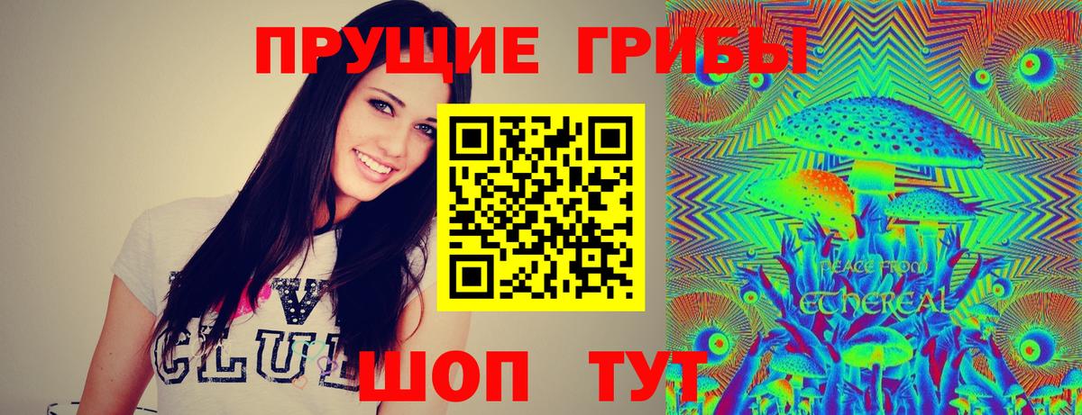 Галлюциногенные грибы прущие грибы Димитровград