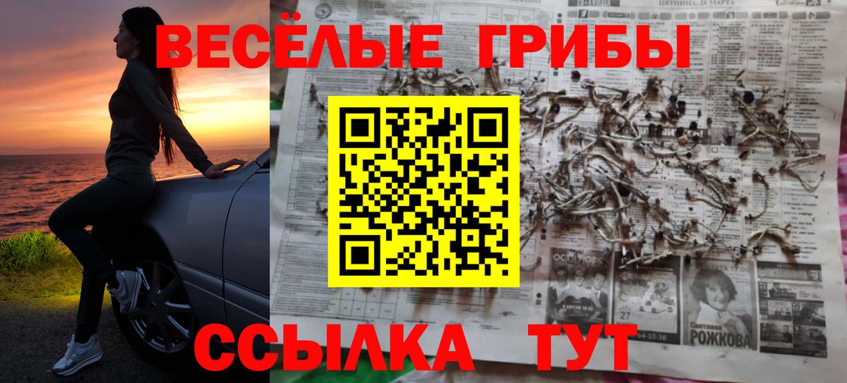 Псилоцибиновые грибы Cubensis  Вход с VPN  Димитровград 