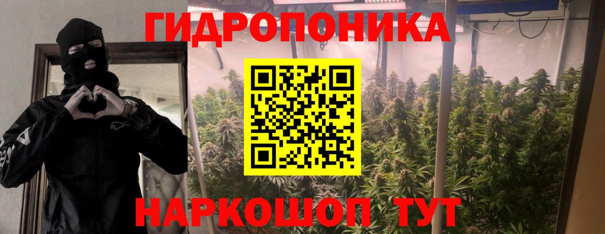 Бошки Шишки MAZAR Димитровград